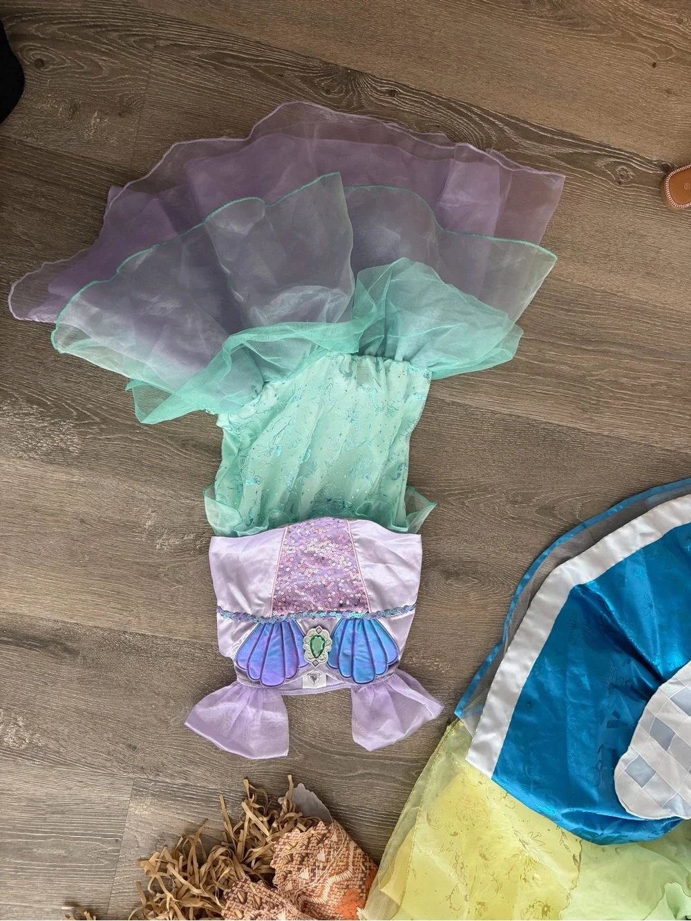 Authentic Disney brand princess costume dresses